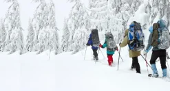 Adult Snowshoes (Blue 8 x 26 in) & Trekking Pole In a Bag Set