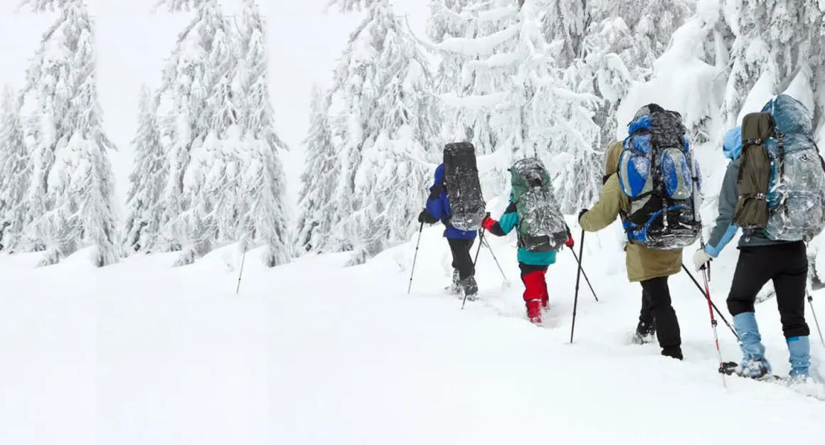 Adult Snowshoes (Blue 8 x 26 in) & Trekking Pole In a Bag Set