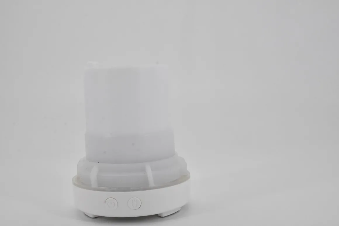 Aroma Ceramic Diffuser 100ML