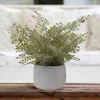 Artificial Fern in White Cement Pot