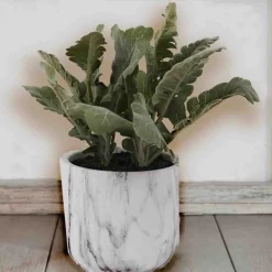 Artificial Lamb's Ear in White Marble Ceramic Pot