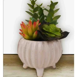 Artificial Succulent Plants in White Ceramic Footed Pot