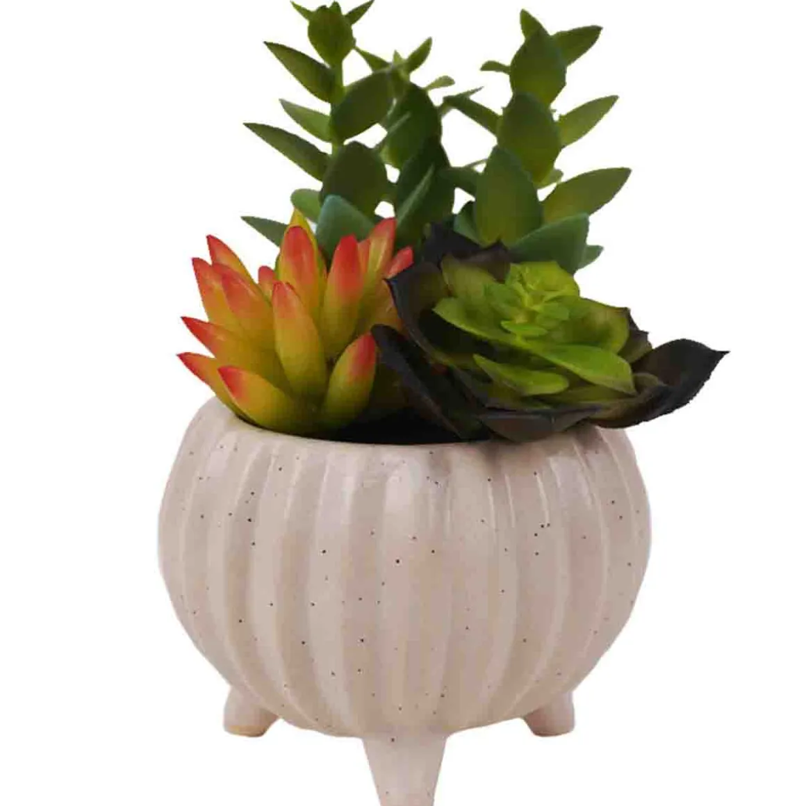 Artificial Succulent Plants in White Ceramic Footed Pot