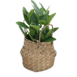 Artificial Weave Basket Plants