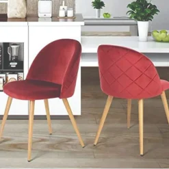 Atelier Du Nord - Premium Velvet Padded Dining Chair