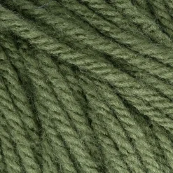 Bernat Super Value 3-197G Forest Green