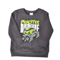 Boys Printed Sweatshirt