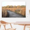 Canvas Forest Path With bench