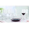 Decanter with 6 Wine Glasses Set