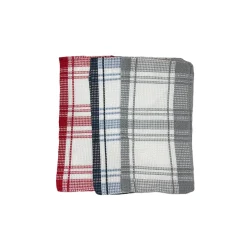 Dishcloth 2pk Check