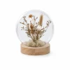 Dried Flowers In Cloche