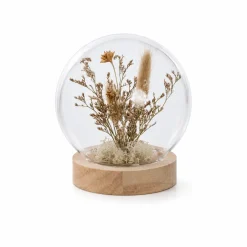 Dried Flowers In Cloche