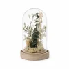 Dried Flowers In Cloche-Lauren Taylor