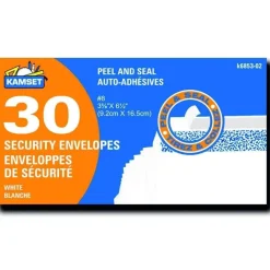 Envelopes Security #8 - 30
