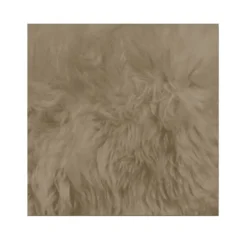 Faux Fur Decorative Pillow