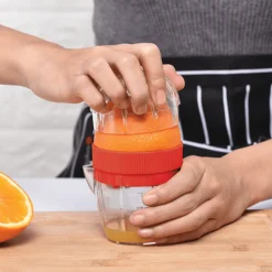 Fruit Juicer