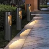 Garden Solar Lights