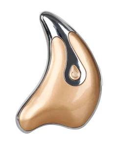 Heating Beauty Face Massager Gold/silver