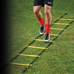 Irongear- Training Ladder