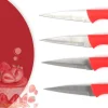À La Cuisine - Set Of 4pcs Handle Paring Knife