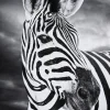 LAUREN TAYLOR - Animal canvas 62X92X4 CM