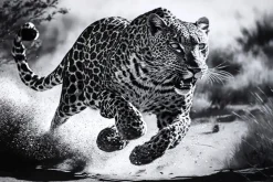 LAUREN TAYLOR - Animal canvas 62X92X4 CM