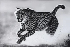LAUREN TAYLOR - Animal canvas 62X92X4 CM