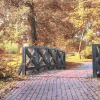Lauren Taylor - Autumn Scene Printed Canvas