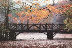 Lauren Taylor - Autumn Scene Printed Canvas