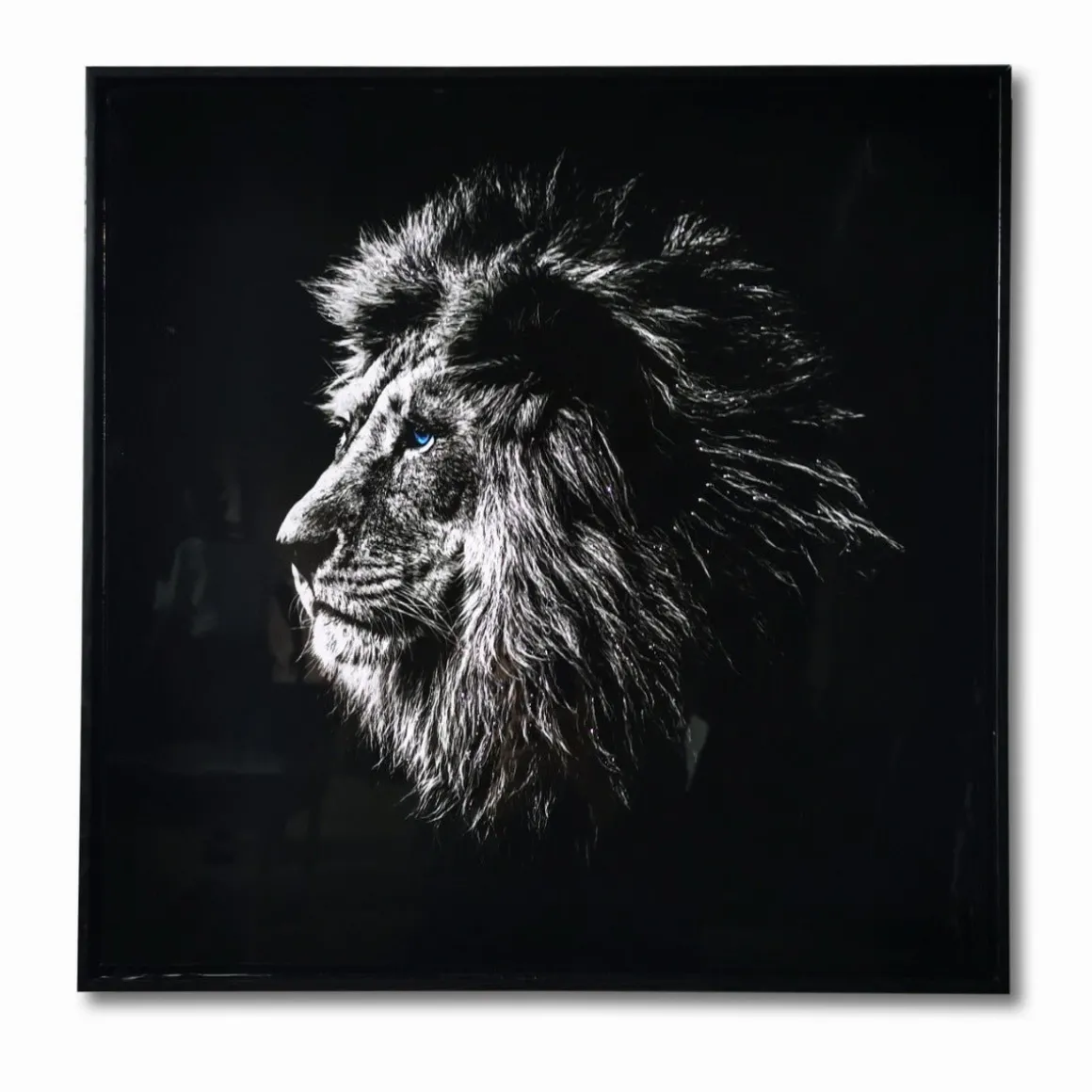 LAUREN TAYLOR-Canvas Animal 25"X25"X1.3"