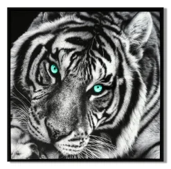 LAUREN TAYLOR-Canvas Animal 63X63X3.5