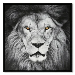 LAUREN TAYLOR-Canvas Animal 63X63X3.5