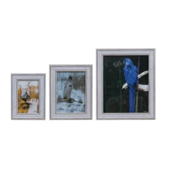 LAUREN TAYLOR- Photo Frame White Wash Look