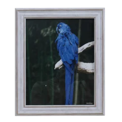 LAUREN TAYLOR- Photo Frame White Wash Look