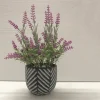 Lavender In Black/grey Cement Pot 16*24