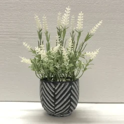 Lavender In Black/grey Cement Pot 16*24