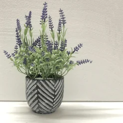 Lavender In Black/grey Cement Pot 16*24