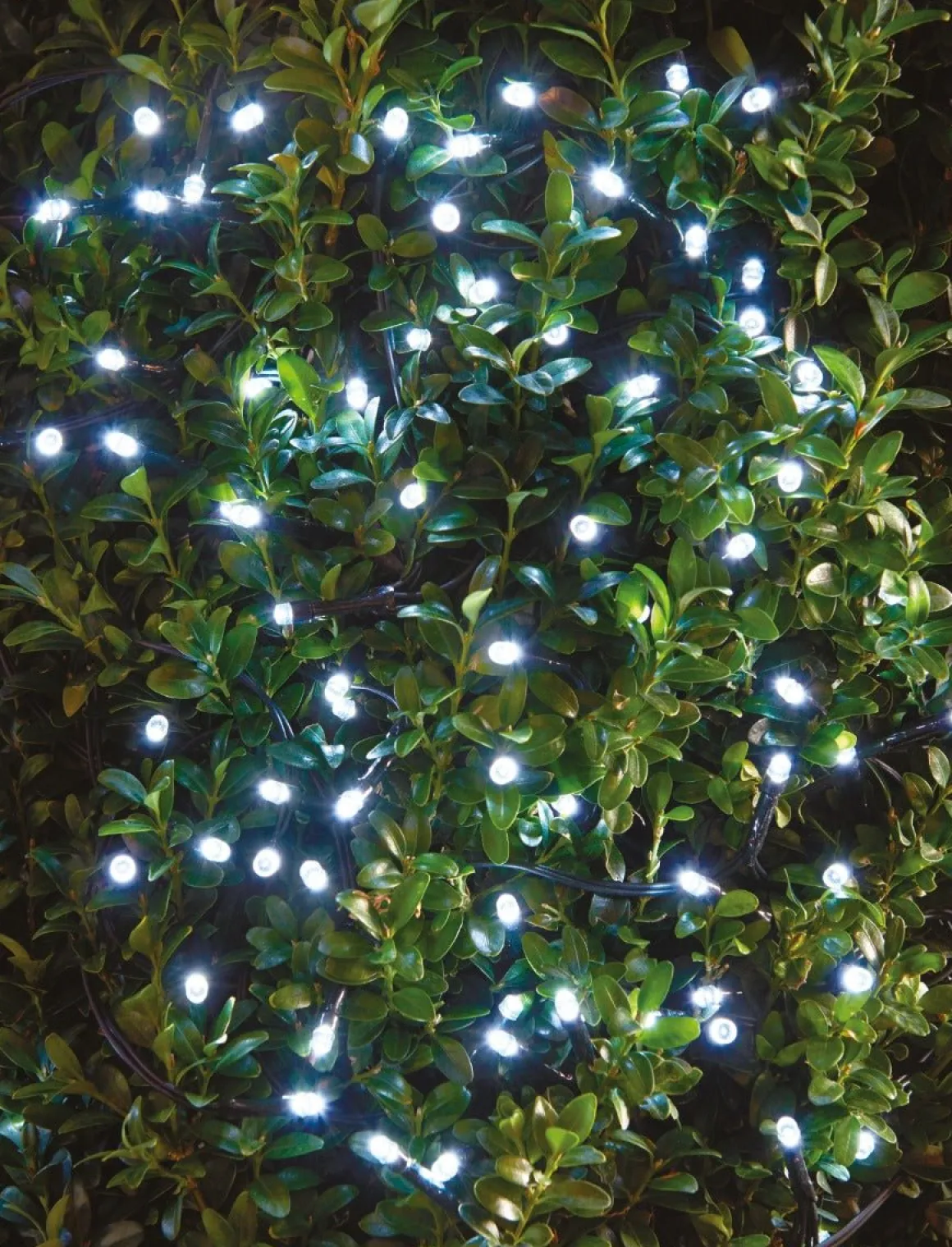 150 Led String Light Warm White 2 Meter