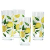 Limoncello Glass Drinkware Collection