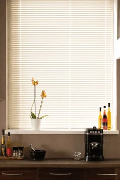 Mini Venetian Cordless Blind