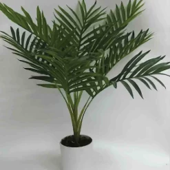 Palm Leave Plant in white Pot