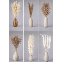 Pampas Grass Bunch – Assorted Styles