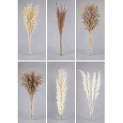 Pampas Grass Bunch – Assorted Styles
