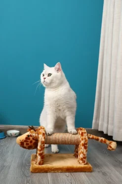 Paws & Whiskers - Cat Scratching Post