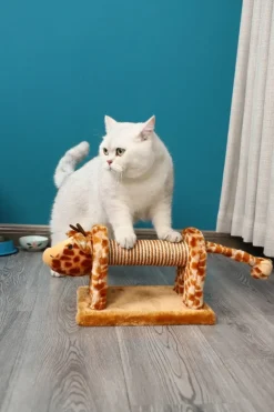 Paws & Whiskers - Cat Scratching Post