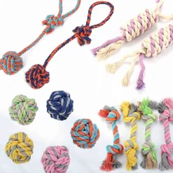 PAWS & WHISKERS - Dog Toys