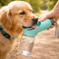 Paws & Whiskers - Pet Water Bottle