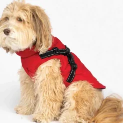 Pet Harness Jacket Assorted
