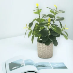 Plant In Geo Cement Pot White/yellow 24*33