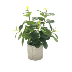 Plant In Geo Cement Pot White/yellow 24*33